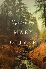 Upstream